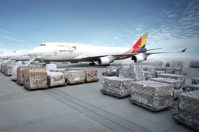A cargo flight waits on the tarmac, its frame standing by the stack of cargo, ready to depart once loaded. The aircraft, a crucial part of the global supply chain, anticipates its next journey to transport goods efficiently. An Airoplane Beside Cargo goods